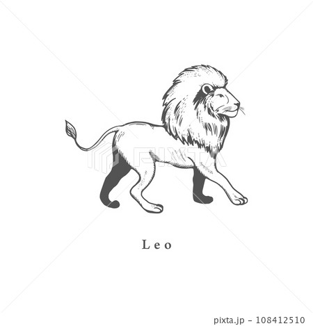 Leo zodiac symbol, hand drawn 108412510