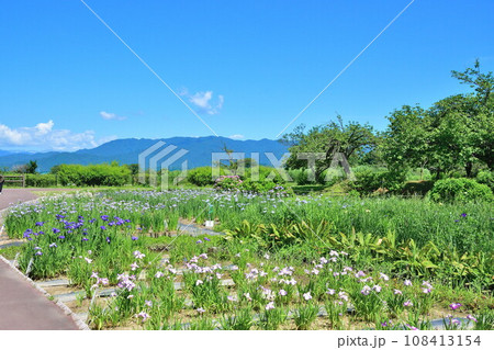 瓢湖アヤメ園(新潟県) 瓢湖アヤメ園(新潟県) 108413154