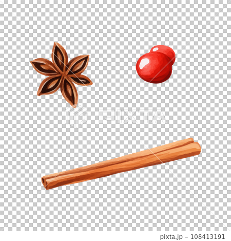 Spice watercolor illustration 108413191