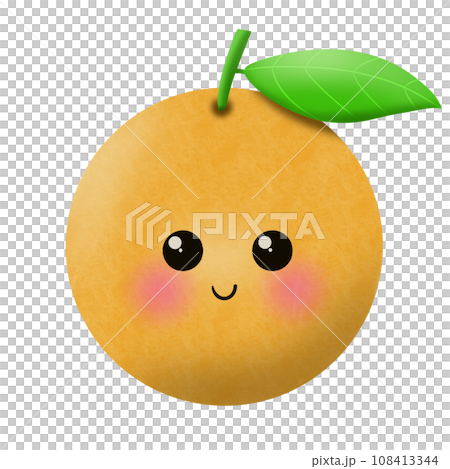 orange and orange apricot with leaf orange and orange apricot with leaf 108413344