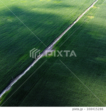 Extensive corn fields, top view. Green farm fields, landscape. Extensive corn fields, top view. Green farm fields, landscape. 108415286