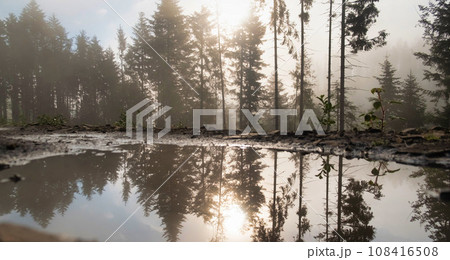 Beautiful autumn in the forest. Reflection of pines in an open bog and ripples in the water. 108416508