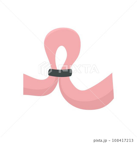 Strip vagine icon. Flat illustration of strip vagine vector icon for web design Strip vagine icon. Flat illustration of strip vagine vector icon for web design 108417213