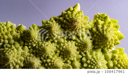 Macro of Romanescu cabbage on a lilac background. concept of summer Macro of Romanescu cabbage on a lilac background. concept of summer 108417961