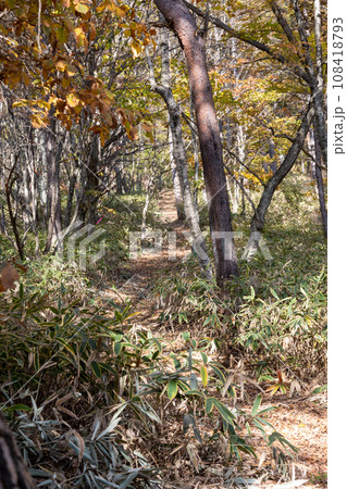 高間山への登山道 高間山への登山道 108418793