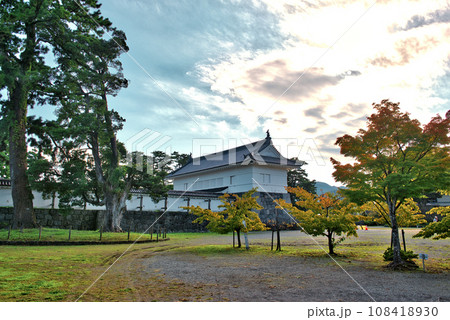 小田原城 二の丸 巨木と銅門の風景 小田原城 二の丸 巨木と銅門の風景 108418930