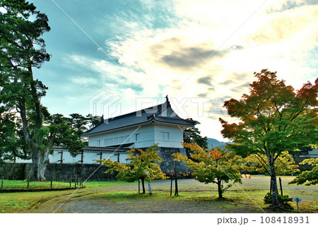 小田原城 二の丸 巨木と銅門の風景 108418931