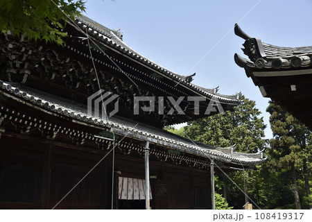 総本山御寺泉涌寺 仏殿【重要文化財】 総本山御寺泉涌寺 仏殿【重要文化財】 108419317