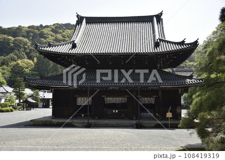 総本山御寺泉涌寺 仏殿【重要文化財】 総本山御寺泉涌寺 仏殿【重要文化財】 108419319