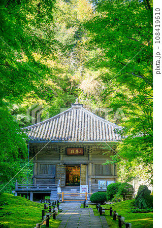 初秋の円通院 三慧殿 宮城県松島町 初秋の円通院 三慧殿 宮城県松島町 108419610
