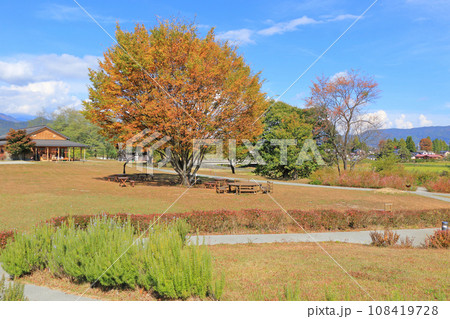 安曇野ちひろ公園の秋 安曇野ちひろ公園の秋 108419728