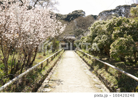 浄瑠璃寺参道 浄瑠璃寺参道 108420248