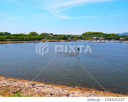 浜名湖松見ヶ浦の風景 108420287