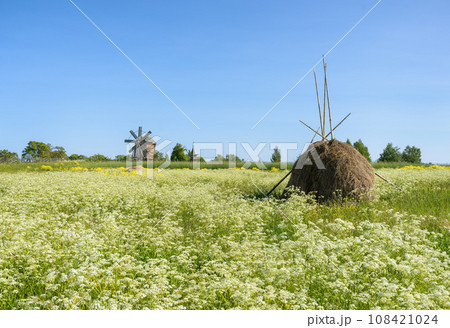 Kizhi Historical Park is an open-air museum of wooden architecture 108421024
