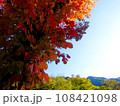 奥飛騨・平湯の紅葉 108421098