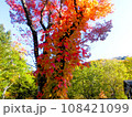 奥飛騨・平湯の紅葉 108421099