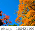 奥飛騨・平湯の紅葉 108421100