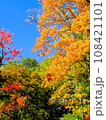奥飛騨・平湯の紅葉 108421101