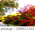 奥飛騨・平湯の紅葉 108421102