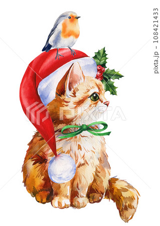 Cute kitten in red Santa hat and robin bird on isolated white background, holiday watercolor illustration 108421433