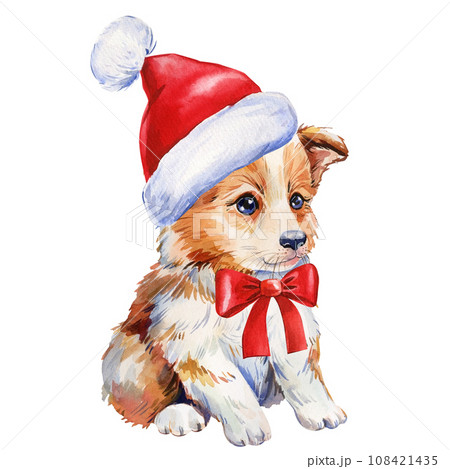 Cute puppy in red Santa hat on isolated white background, holiday watercolor illustration, poster 108421435