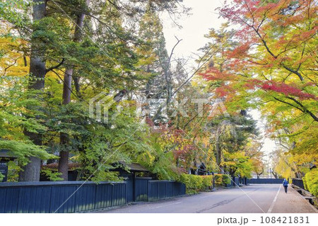 秋の角館武家屋敷通り　(青柳家）紅葉の風景　秋田県仙北市 108421831