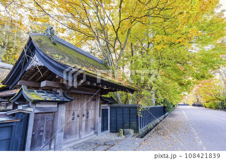 秋の角館武家屋敷通り(青柳家)紅葉の風景 秋田県仙北市 秋の角館武家屋敷通り(青柳家)紅葉の風景 秋田県仙北市 108421839