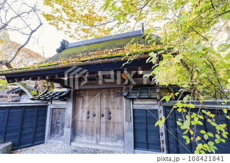 秋の角館武家屋敷通り(青柳家)紅葉の風景 秋田県仙北市 秋の角館武家屋敷通り(青柳家)紅葉の風景 秋田県仙北市 108421841