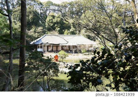 浄瑠璃寺の境内 浄瑠璃寺の境内 108421939