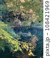 山里の小さな池の紅葉 108421969