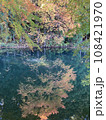 山里の小さな池の紅葉 108421970