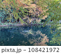 山里の小さな池の紅葉 108421972