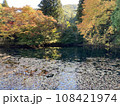 山里の小さな池の紅葉 108421974