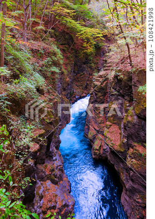 八丁暗がり(縦)1 八丁暗がり(縦)1 108421998