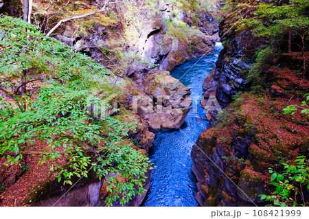 八丁暗がり1 八丁暗がり1 108421999