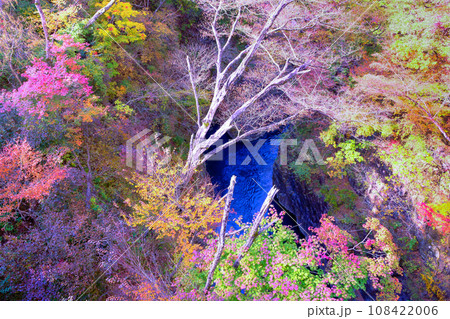 紅葉の吾妻峡1 紅葉の吾妻峡1 108422006