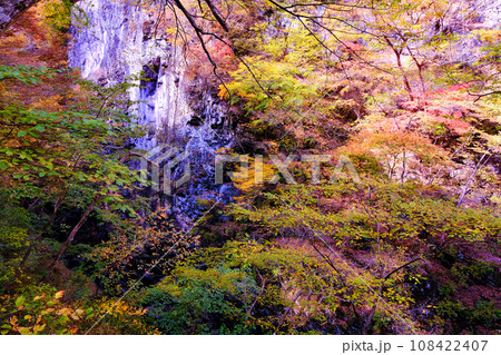 岩壁と紅葉 108422407