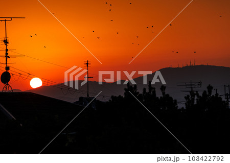 2023秋　奈良市住宅街の夕焼け　生駒山系に沈む夕日と上空を飛び交うカラスの群れ 108422792