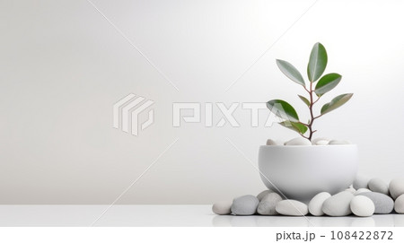 A small potted plant with white rocks on a white surface. This image shows a green plant in a white pot surrounded by white rocks. The plant has oval leaves and the pot is round. 108422872