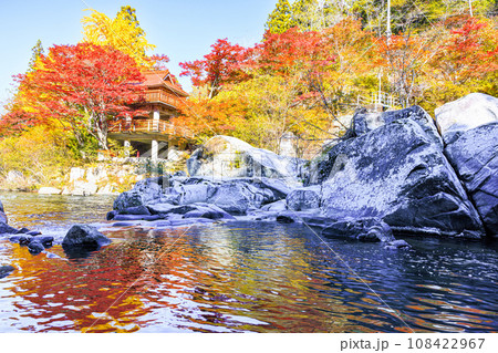 大井平公園の紅葉 108422967