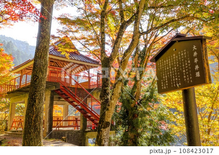 大井平公園の紅葉 108423017