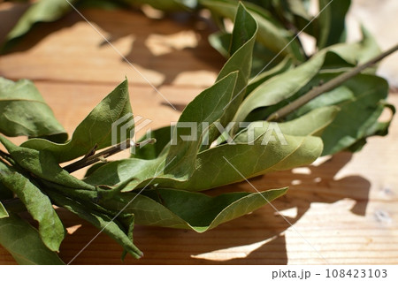 ローリエのドライフラワーのリース ローリエのドライフラワーのリース 108423103