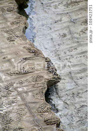 鵜戸千畳敷奇岩（宮崎県・日南市） 108423751