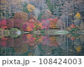 紅葉ピーク 108424003