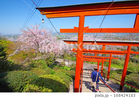 赤い鳥居が並ぶ福岡県の人気観光スポット浮羽稲荷神社 108424183