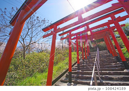 赤い鳥居が並ぶ福岡県の人気観光スポット浮羽稲荷神社 赤い鳥居が並ぶ福岡県の人気観光スポット浮羽稲荷神社 108424189