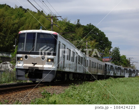 うしを引っ張るひつじ うしを引っ張るひつじ 108424223