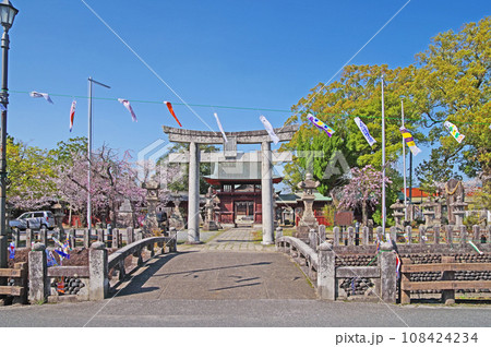 福岡県うきは市の鯉のぼりが飾られた素盞嗚神社 108424234