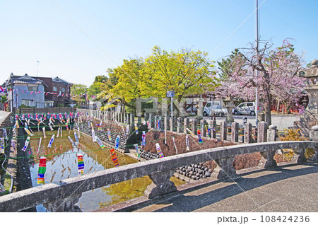 福岡県うきは市の素盞嗚神社前の南新川と鯉のぼり 福岡県うきは市の素盞嗚神社前の南新川と鯉のぼり 108424236
