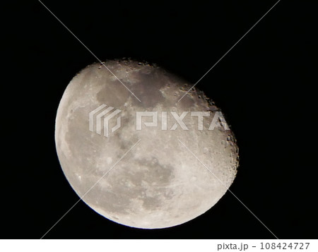 月齢18.4 108424727